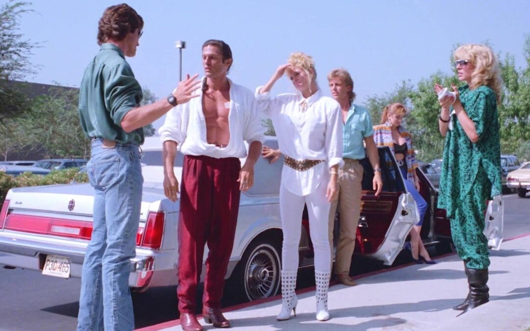 Soirée originale « films complètement pourris mais tellement drôles » au cinéma Le Parc
