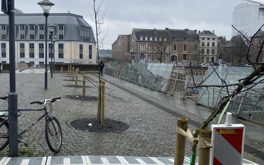 Les arbres plantés sur la passerelle de Liège Saint-Lambert brisés