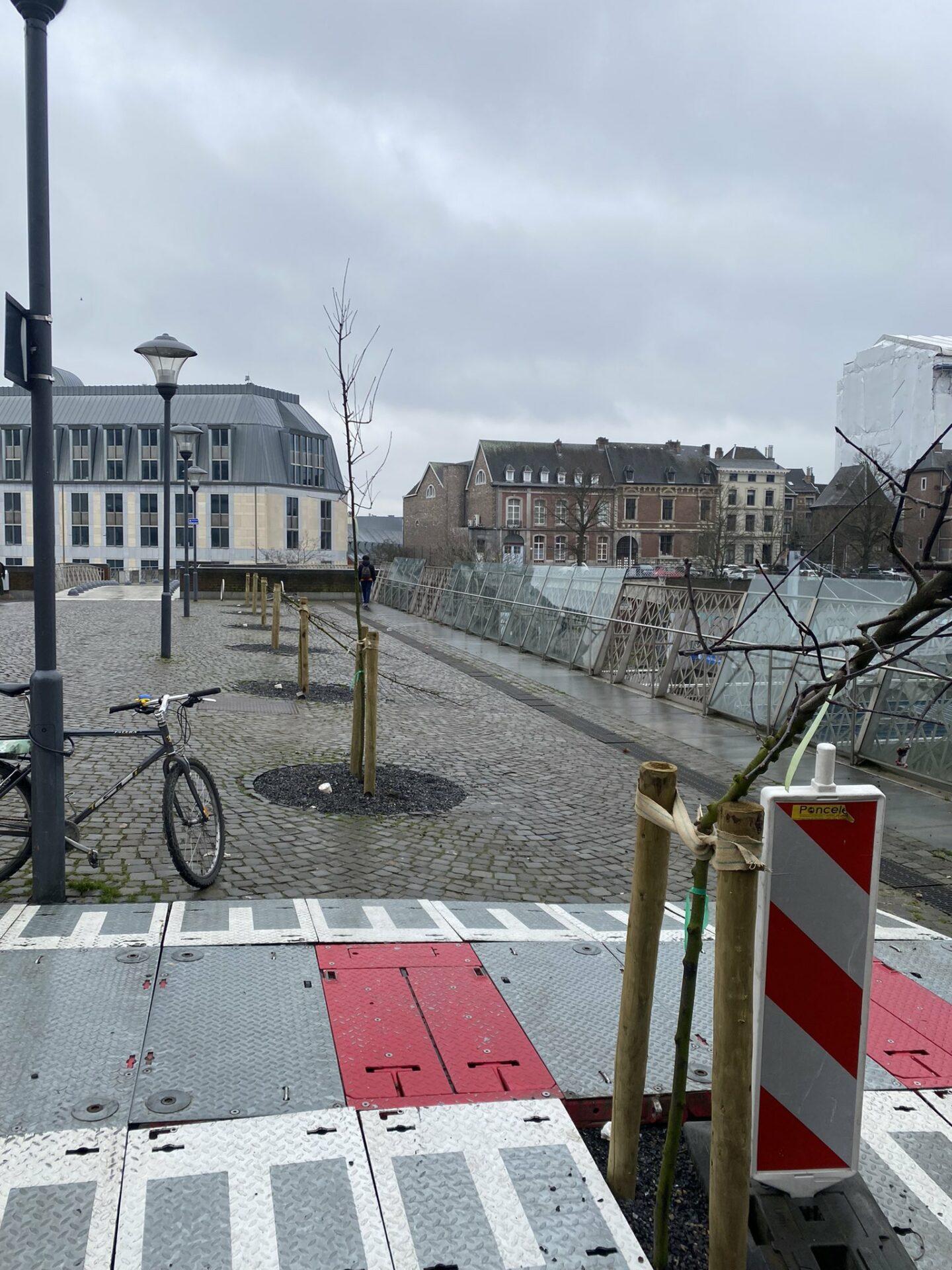 Les arbres plantés sur la passerelle de Liège Saint-Lambert brisés