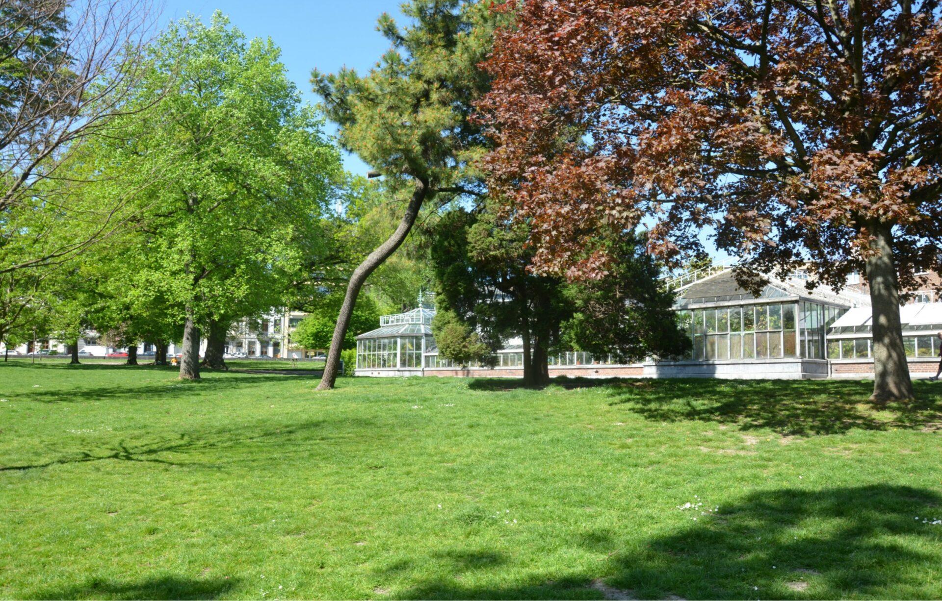 Début des travaux de rénovation des cheminements piétons et de l’éclairage du Jardin Botanique