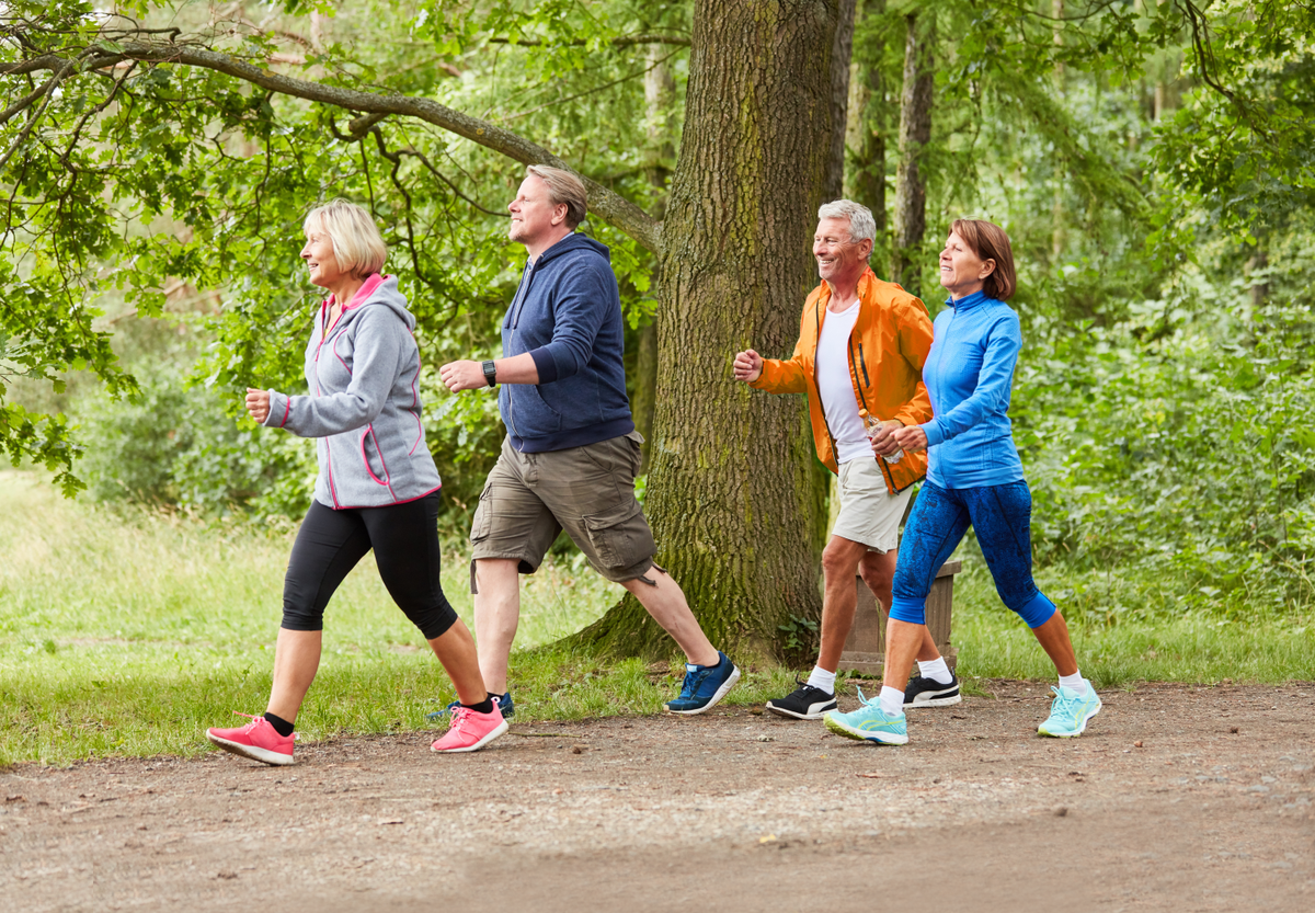 Nouveau programme de marche active pour se relancer dans une activité physique régulière