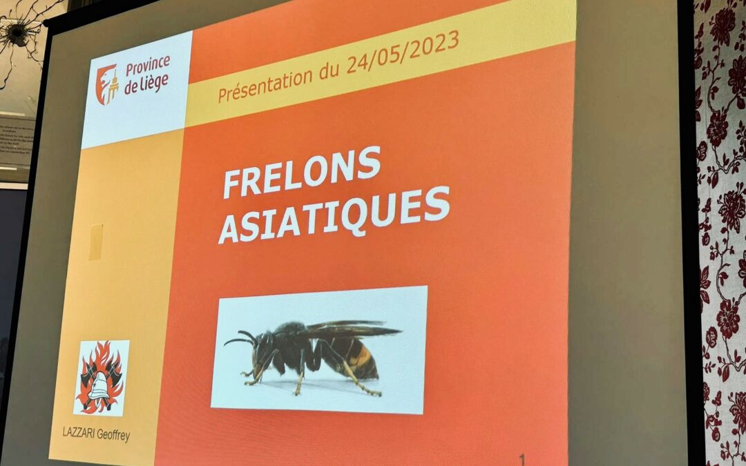 La Province informe sur la problématique du frelon asiatique