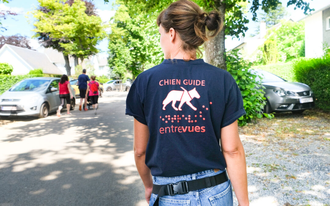 Marche ADEPS « dog friendly » le dimanche 18 juin au Sart-Tilman au profit des chiens guides