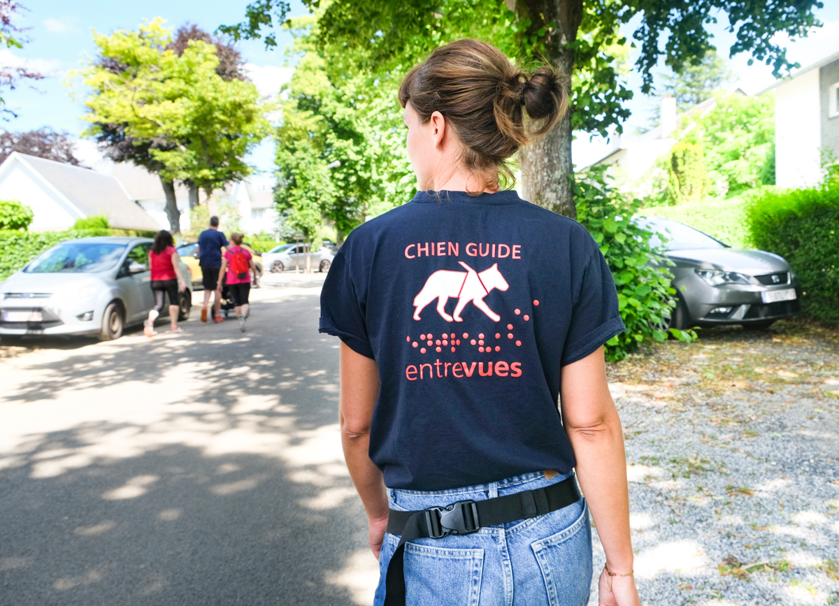 Marche ADEPS « dog friendly » le dimanche 18 juin au Sart-Tilman au profit des chiens guides