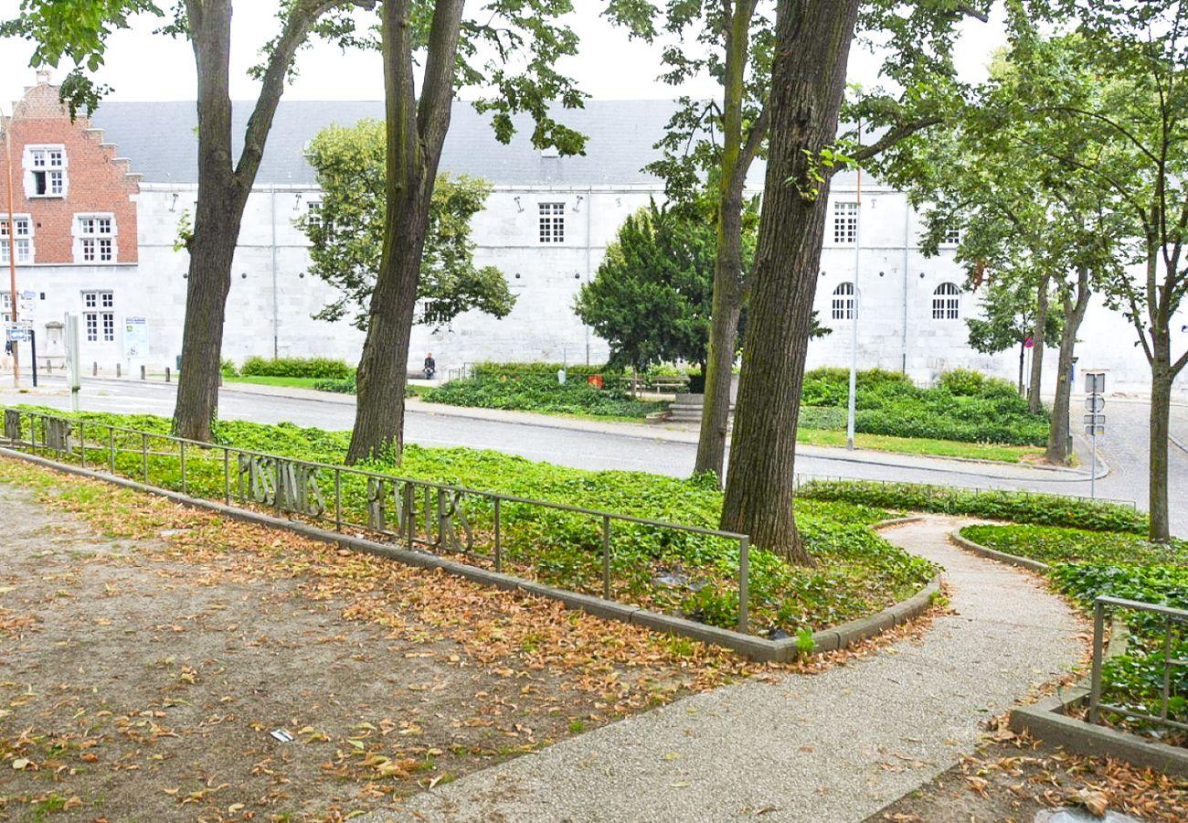 Bagarre alcoolisée dans le petit parc au-dessus de la rue Wazon: un sexagénaire mortellement frappé