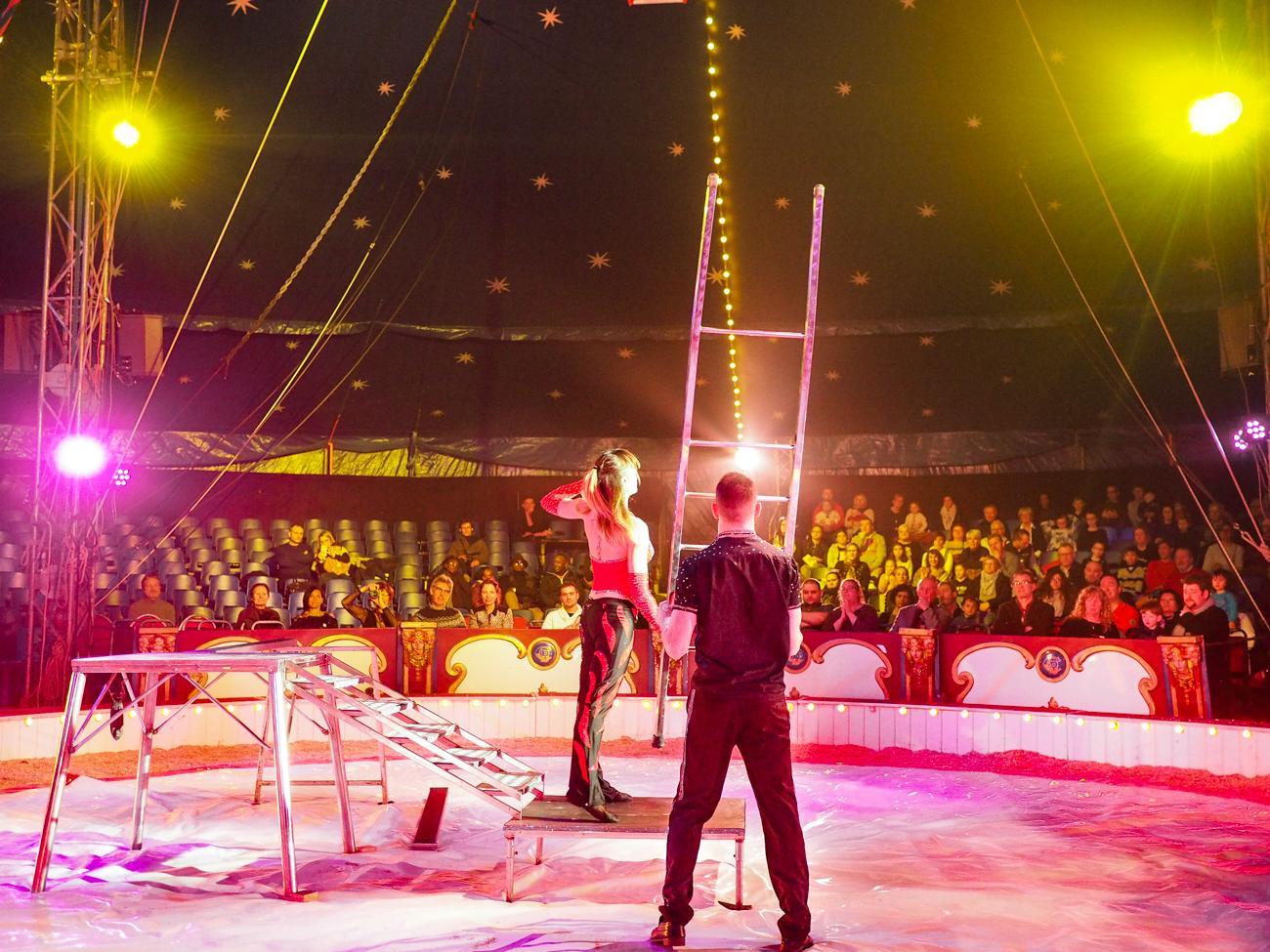 Nouvelle annulation du European Circus Festival: est-ce sa fin définitive ?