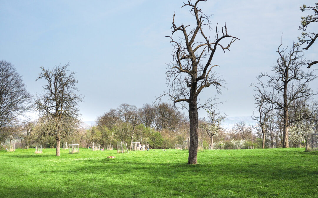 Une “Chaîne des parcs” pour relier et mettre en valeur les espaces de nature de la Cité ardente
