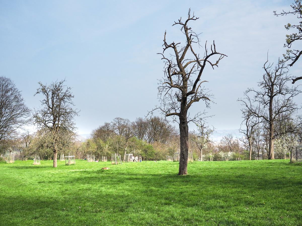 Une « Chaîne des parcs » pour relier et mettre en valeur les espaces de nature de la Cité ardente