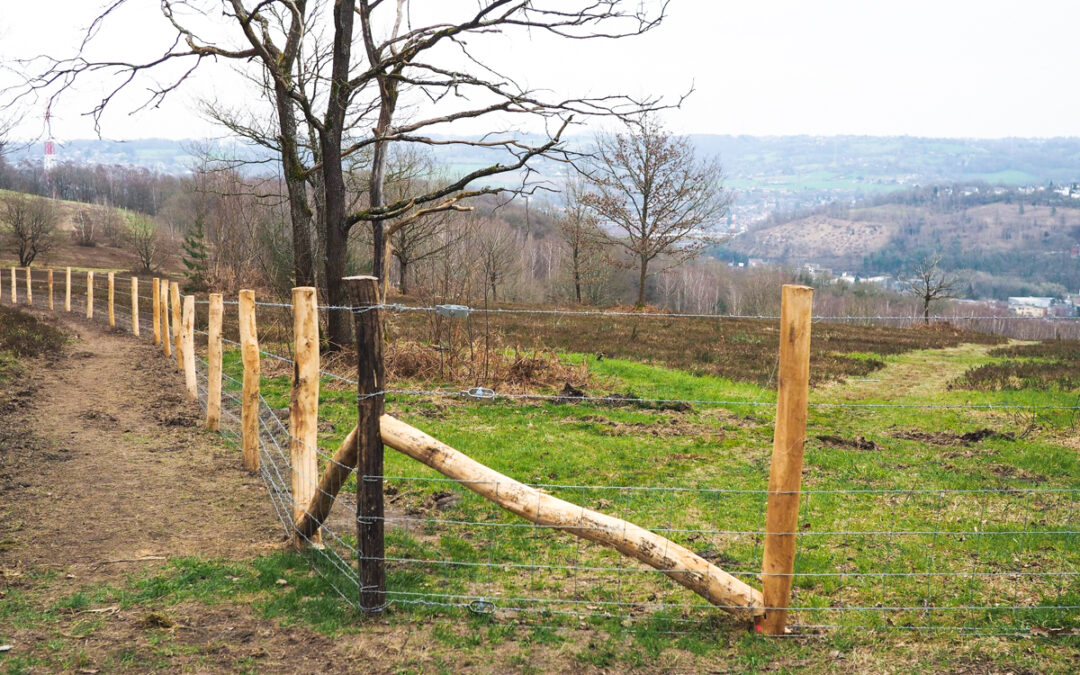 Qui a vandalisé les clôtures de la lande de Streupas ?