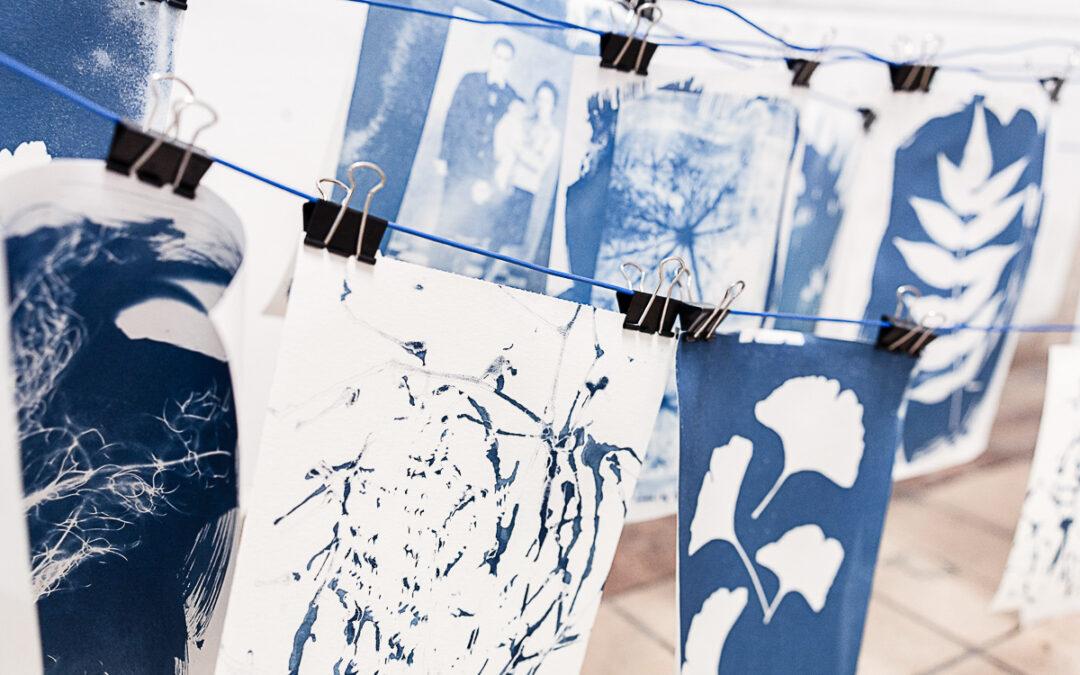 Agenda ► Photographie alternative : Cyanotype