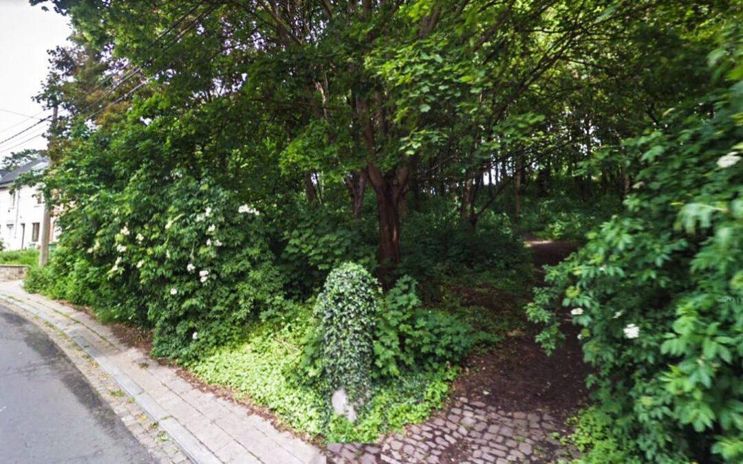 Petit bois de Naniot clôturé par son propriétaire: la Ville perd en appel