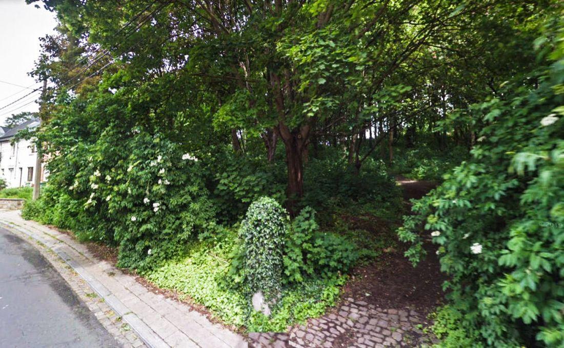 Petit bois de Naniot clôturé par son propriétaire: la Ville perd en appel