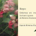 Exposition « Ombres et reflets botaniques » de Marianne Grooteclaes