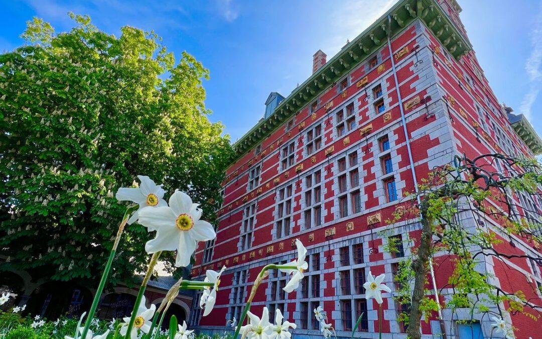 Les Grand Curtius: un musée reconnu, avec deux étoiles