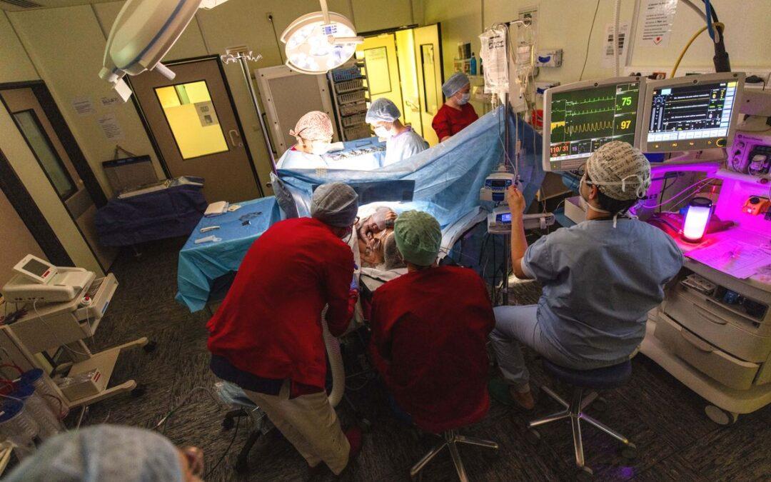 Un pédiatre photographe expose à la Cité Miroir: la naissance à l’hôpital, dans toute sa diversité