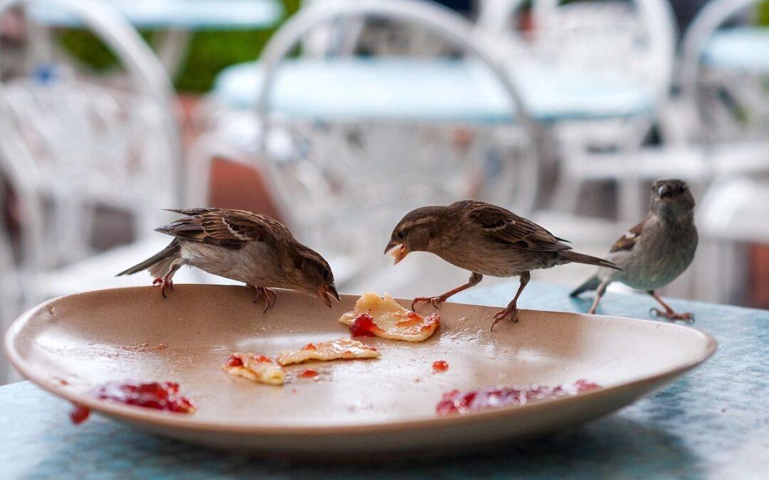 La Ville lance une plateforme pour lutter contre le gaspillage alimentaire