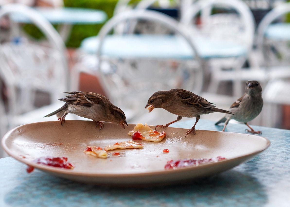 La Ville lance une plateforme pour lutter contre le gaspillage alimentaire