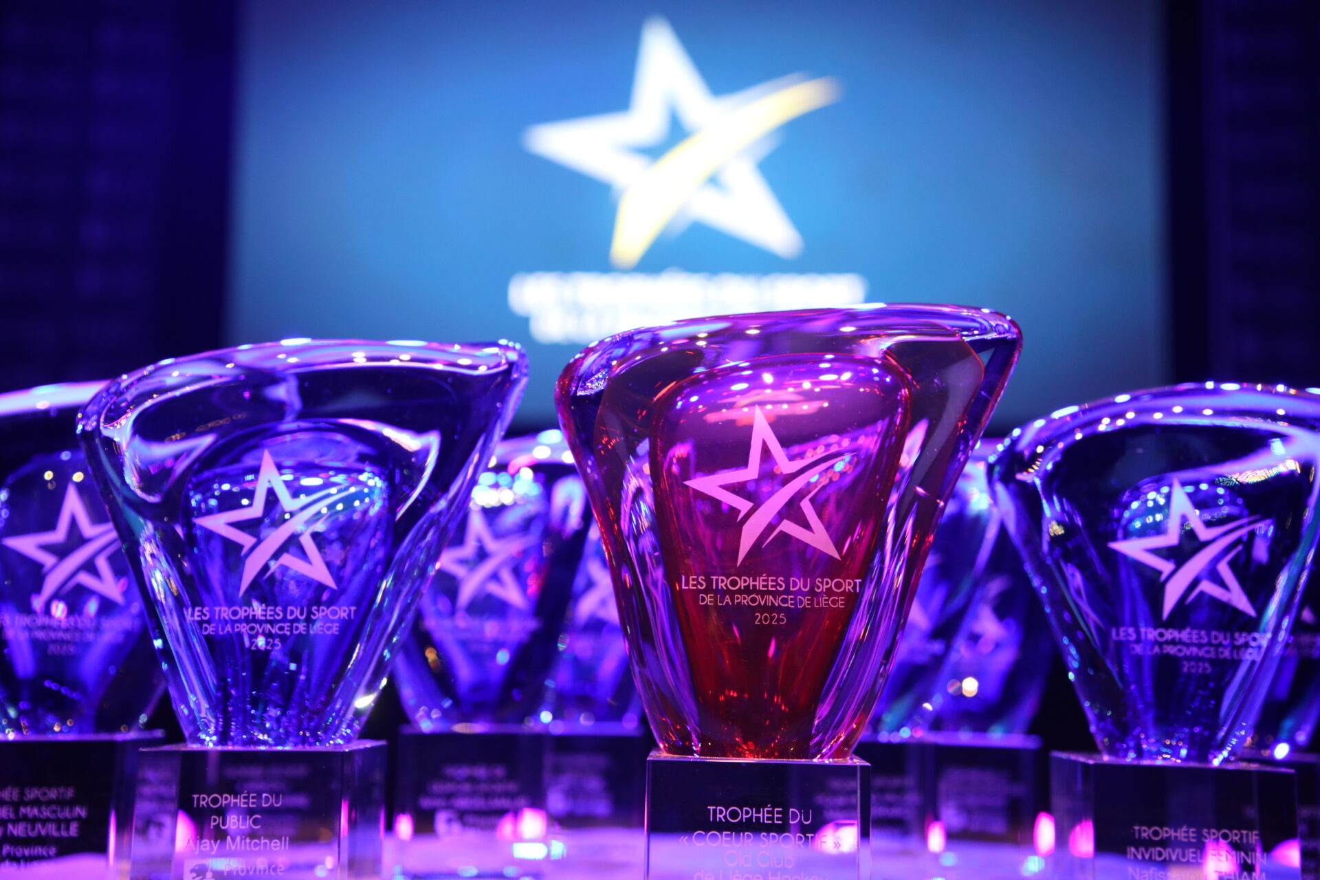 Les grands noms et clubs liégeois récompensés aux Trophées du Sport de la province de Liège