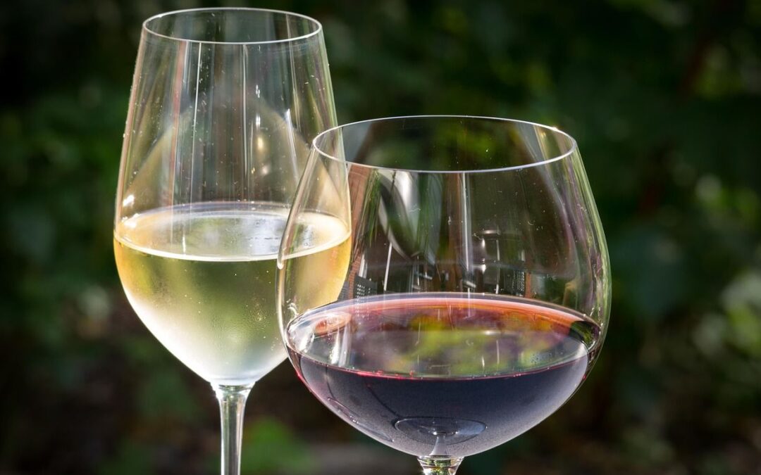 Rencontre champêtre, pour les pros, autour des vins de la Province de Liège