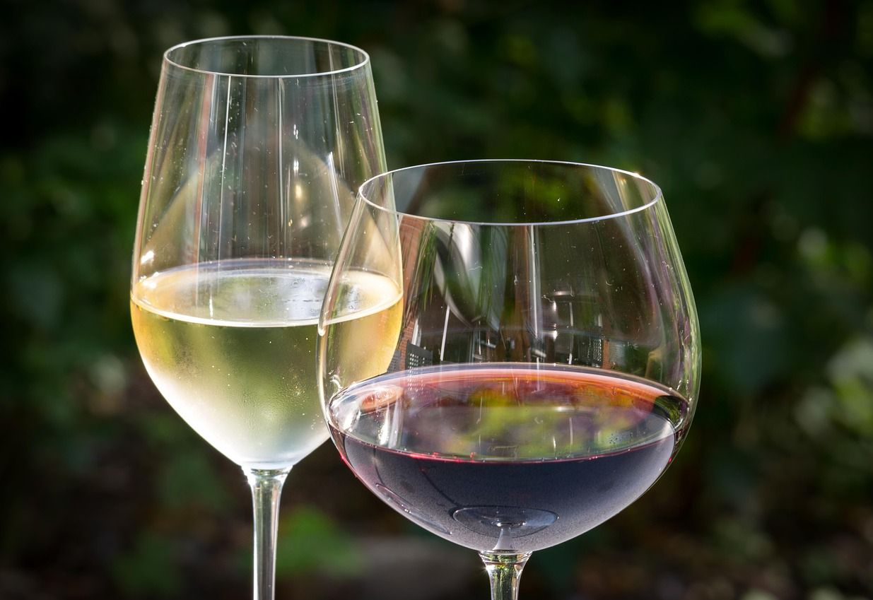 Rencontre champêtre, pour les pros, autour des vins de la Province de Liège