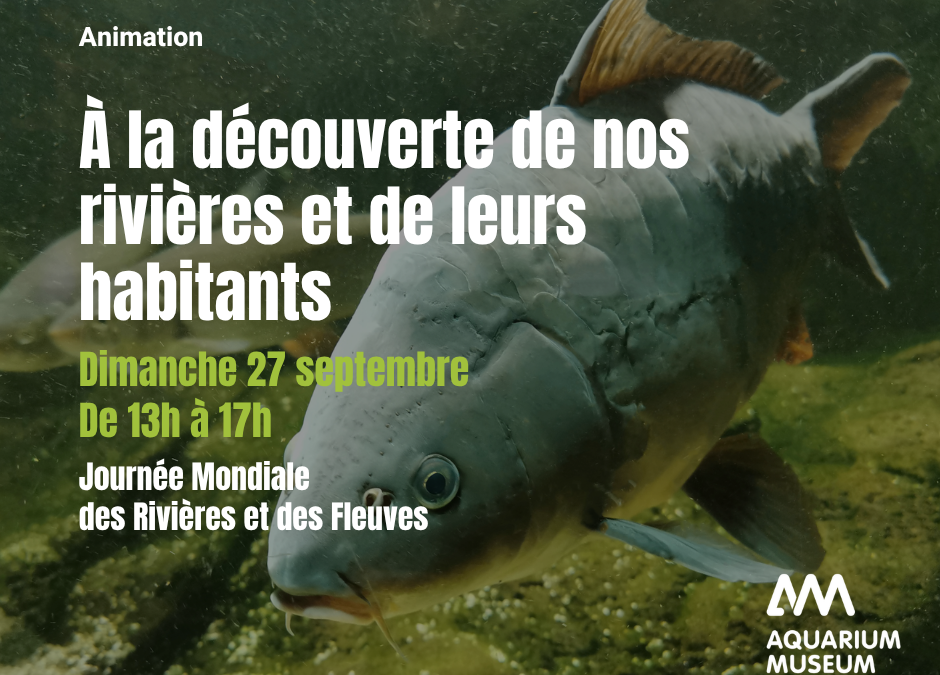 Agenda ► À la découverte de nos rivières et de leurs habitants