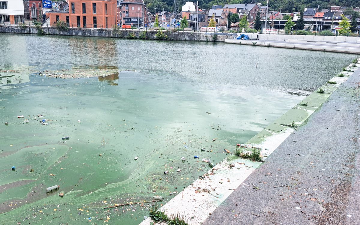 La future marina de Rives Ardentes, cul-de-sac de détritus, ne vend pas encore du rêve