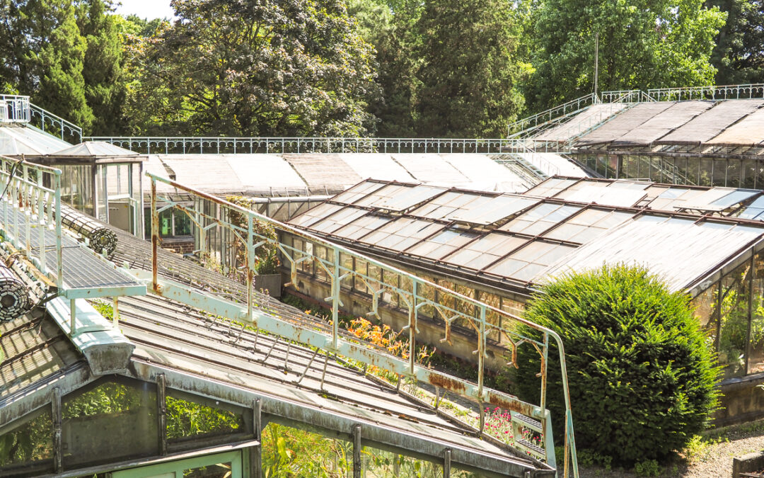 Licenciement, réactions et dénonciations: la tranquillité des plantes perturbée aux Serres du Jardin Botanique