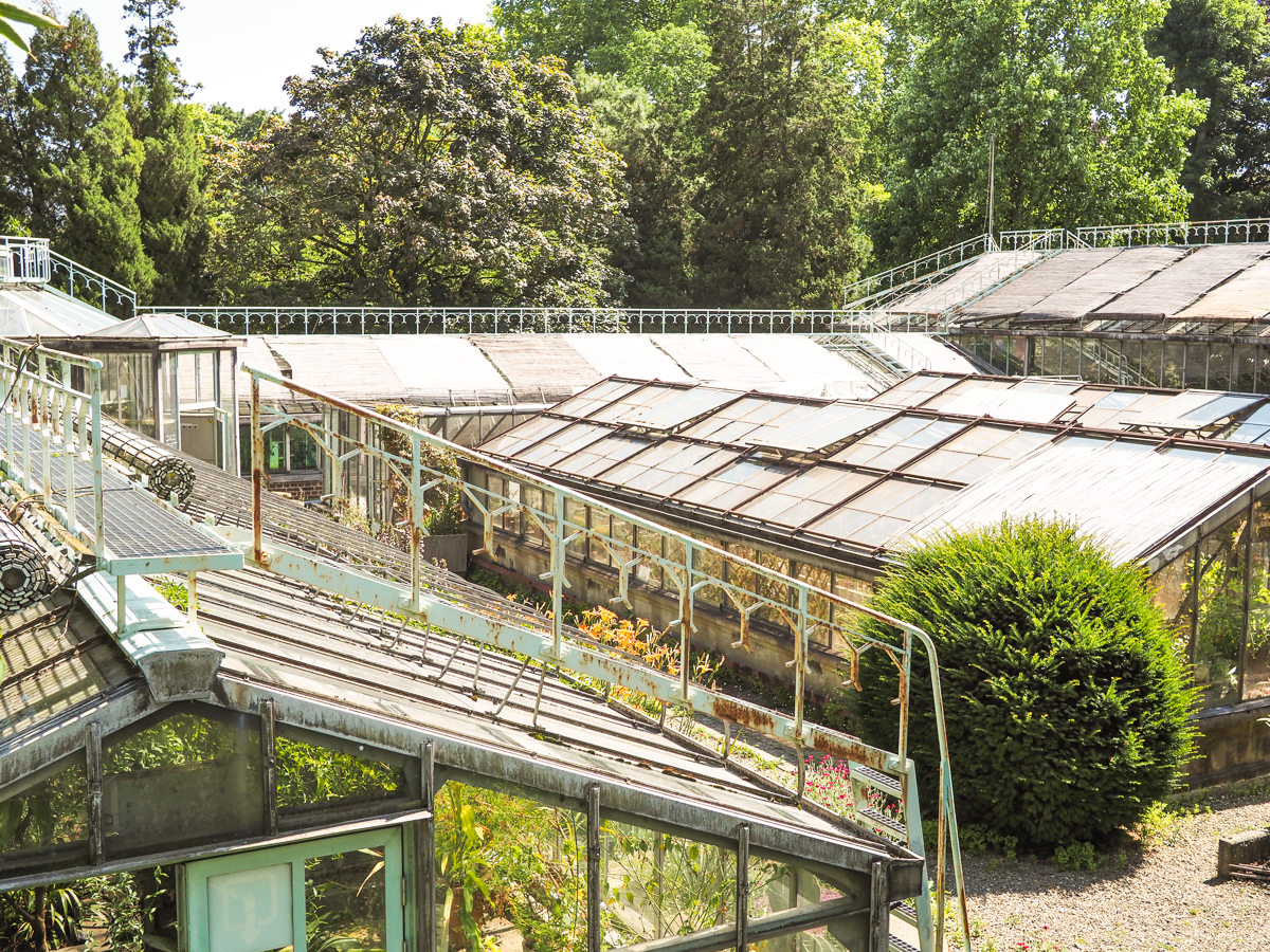 Licenciement, réactions et dénonciations: la tranquillité des plantes perturbée aux Serres du Jardin Botanique