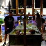 Visite des coulisses de l'Aquarium