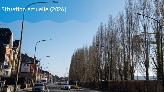 Le Port autonome de Liège va abattre des peupliers malades sur son site de Flémalle