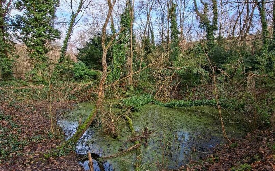 Le collectif Un air de Chartreuse craint la mort programmée d’écosystèmes avec le projet de parc de la Ville