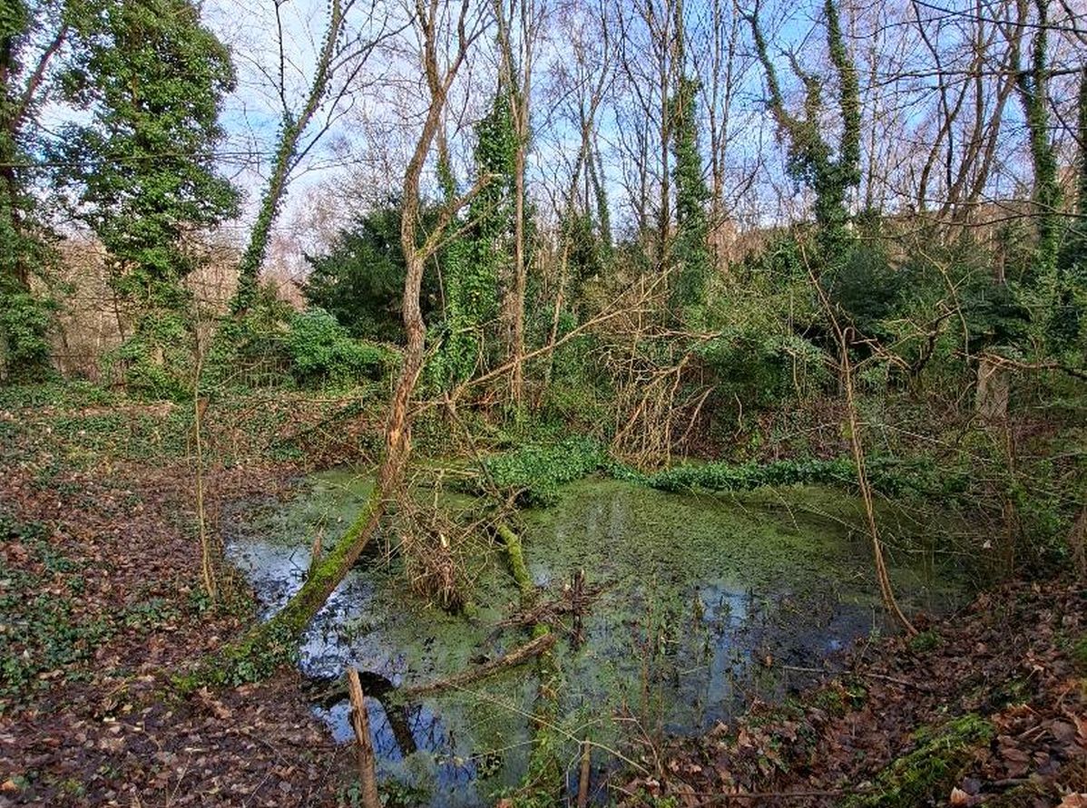Le collectif Un air de Chartreuse craint la mort programmée d’écosystèmes avec le projet de parc de la Ville