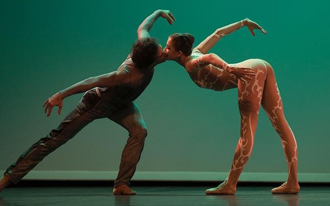 14e édition des Hivernales de la Danse