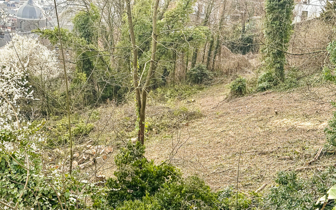 Abattage d’arbres sur les Coteaux: l’évêché avait aussi oublié que c’était un site classé soumis à autorisation