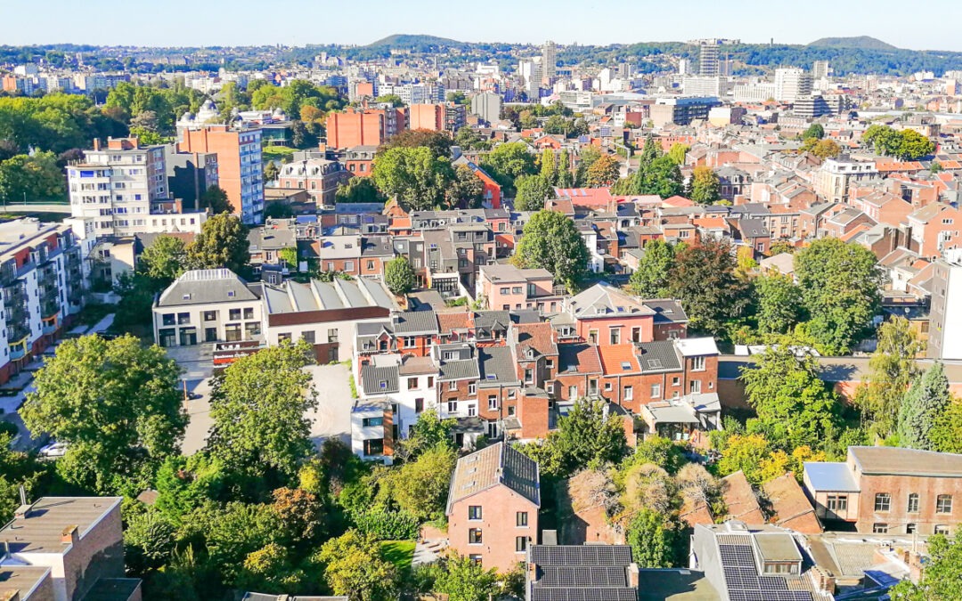 En province de Liège, 1 maison sur 5 est occupée par des propriétaires ayant tous les deux 65 ans et plus
