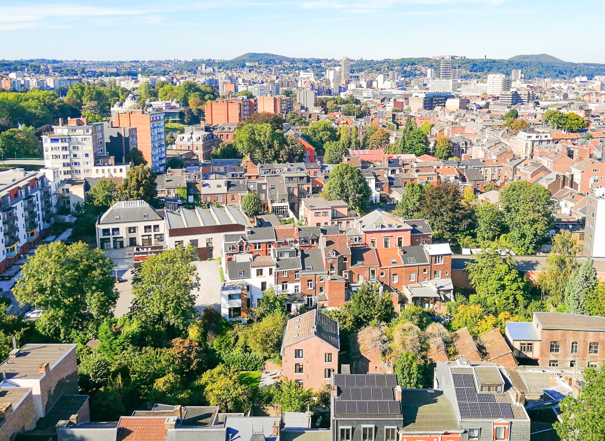 En province de Liège, 1 maison sur 5 est occupée par des propriétaires ayant tous les deux 65 ans et plus