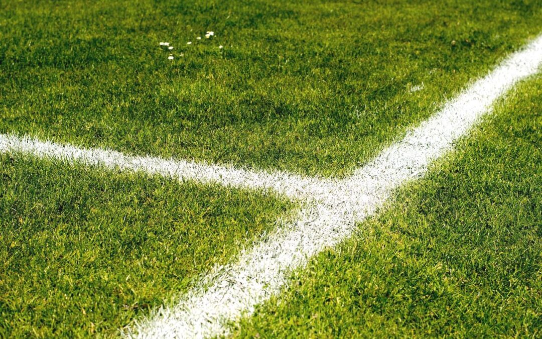 « Pas Foot Ce Soir » une campagne et un site web pour affirmer son opposition à la Coupe du monde en rassemblant des alternatives