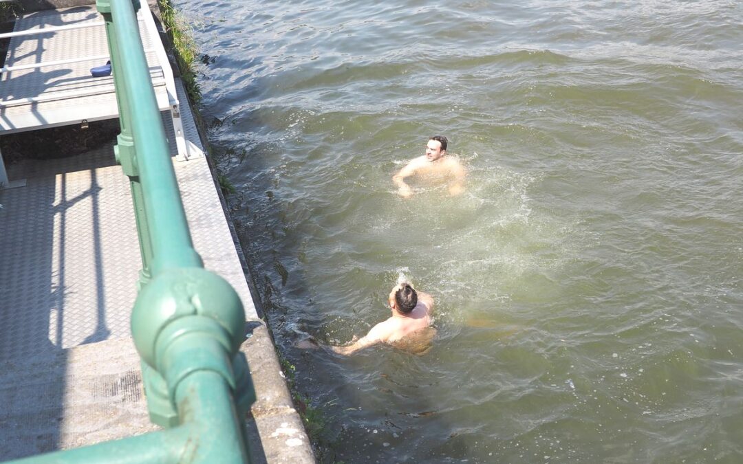 Peut-on se baigner dans la Meuse à la Boverie ou à un autre endroit ? Ou y faire du paddle ?