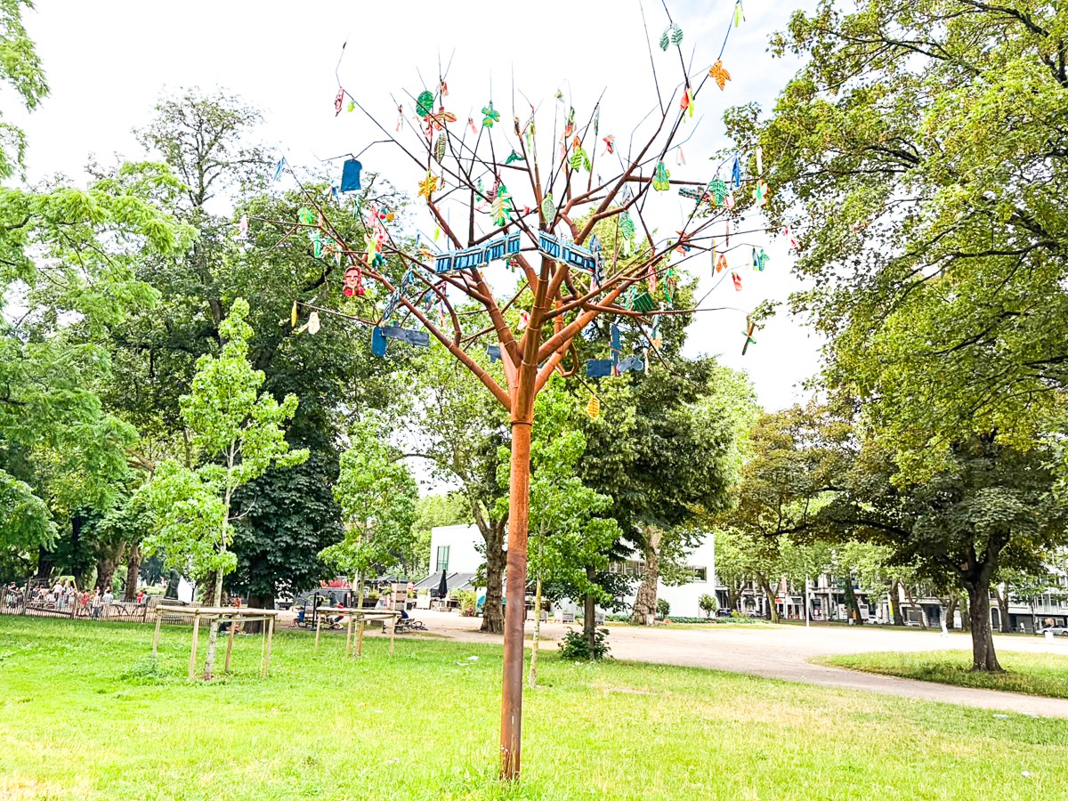 Avez-vous déjà remarqué cet arbre un peu spécial dans le parc d’Avroy ?