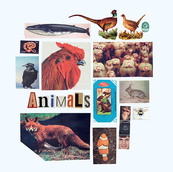 ANIMALS