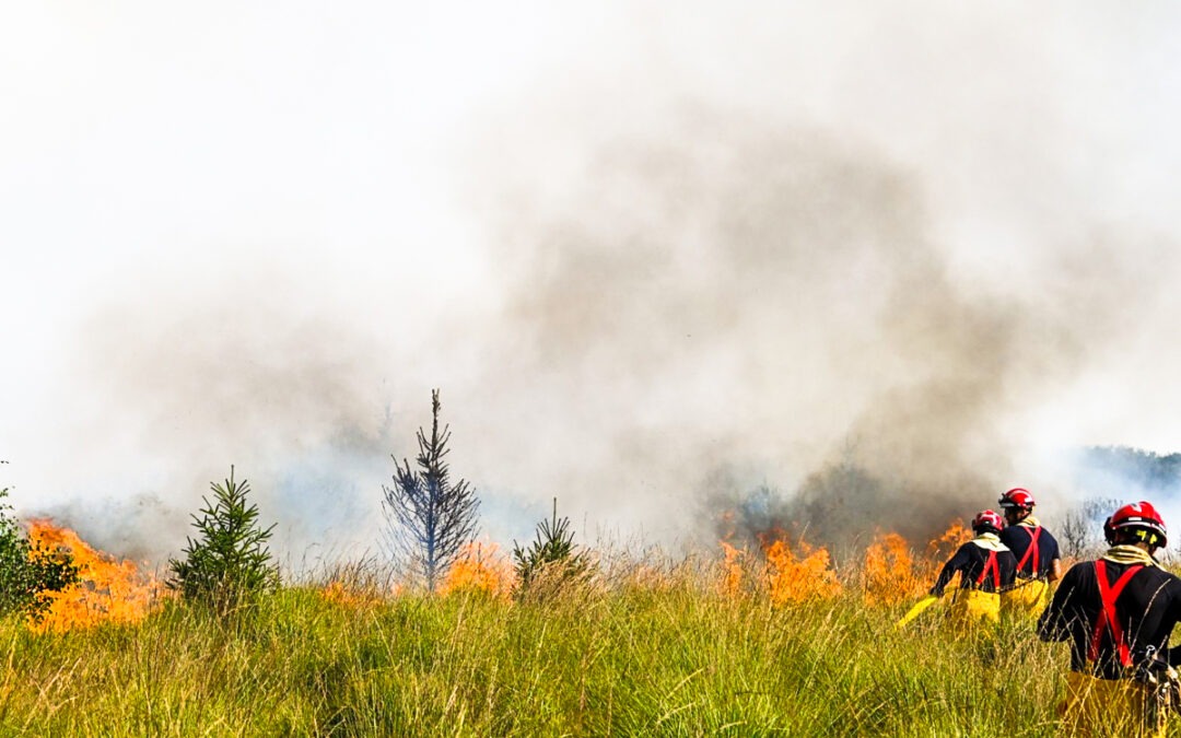 Incendie des Hautes Fagnes: selon le parquet, l’utilisation d’un engin agricole pourrait être à l’origine du feu