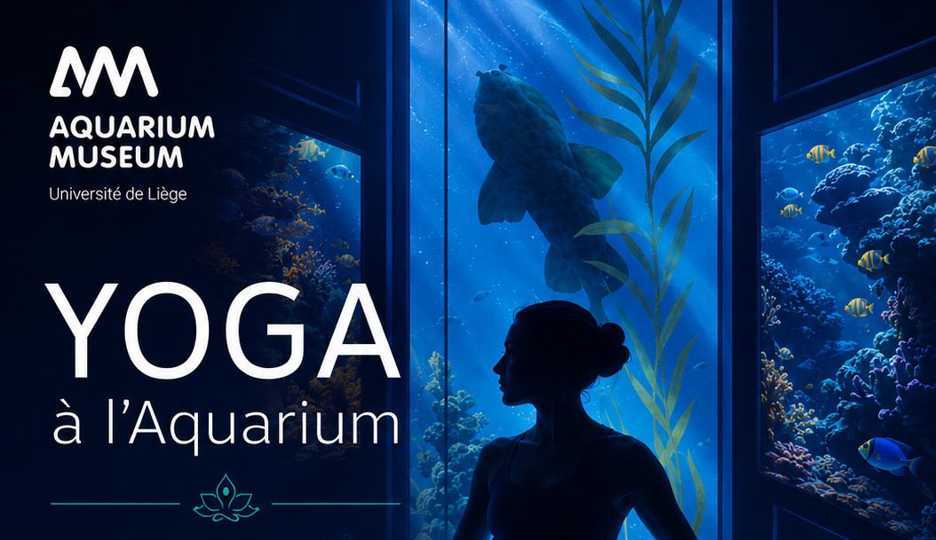 Agenda ► Cours de yoga à l’Aquarium-Muséum de Liège