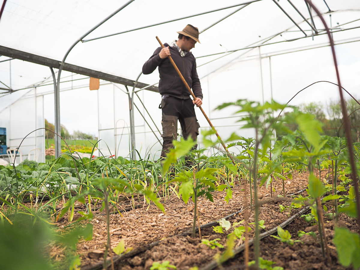 Journée animée pour découvrir la coopérative liégeoise Circuits Paysans