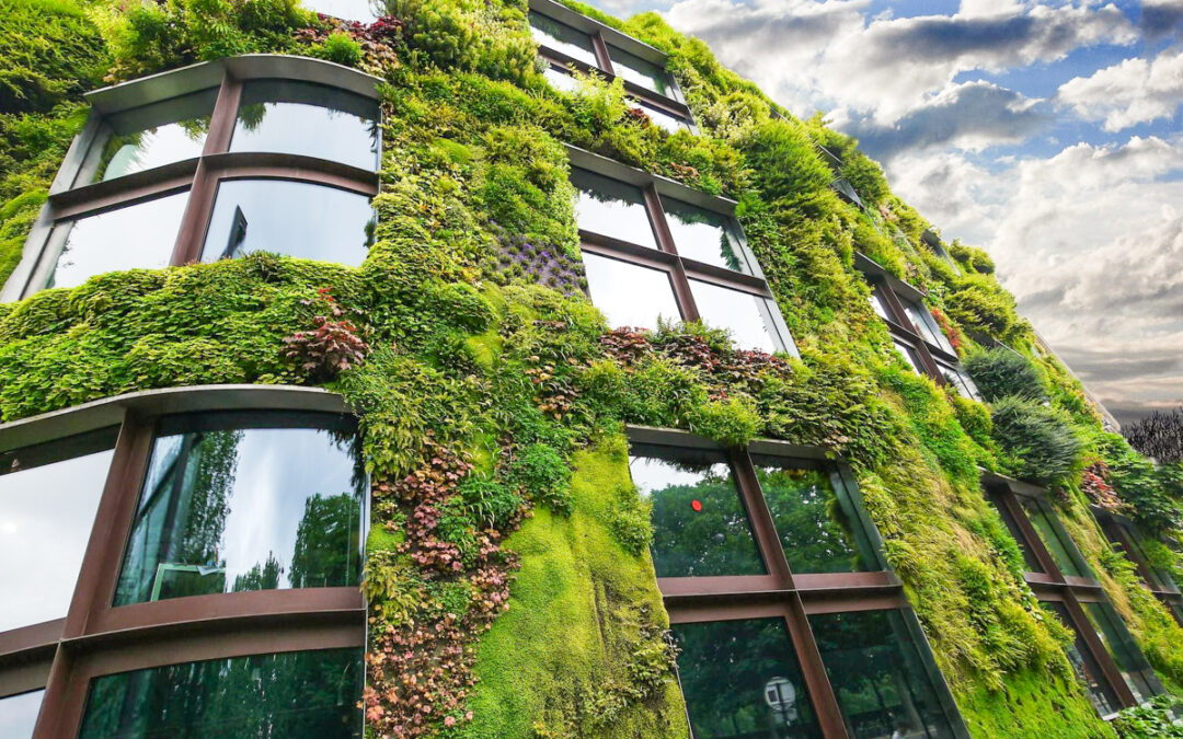 Le creusement, par la Ville, d’une fosse à rue pour accueillir des plantes le long de sa façade n’est plus gratuit