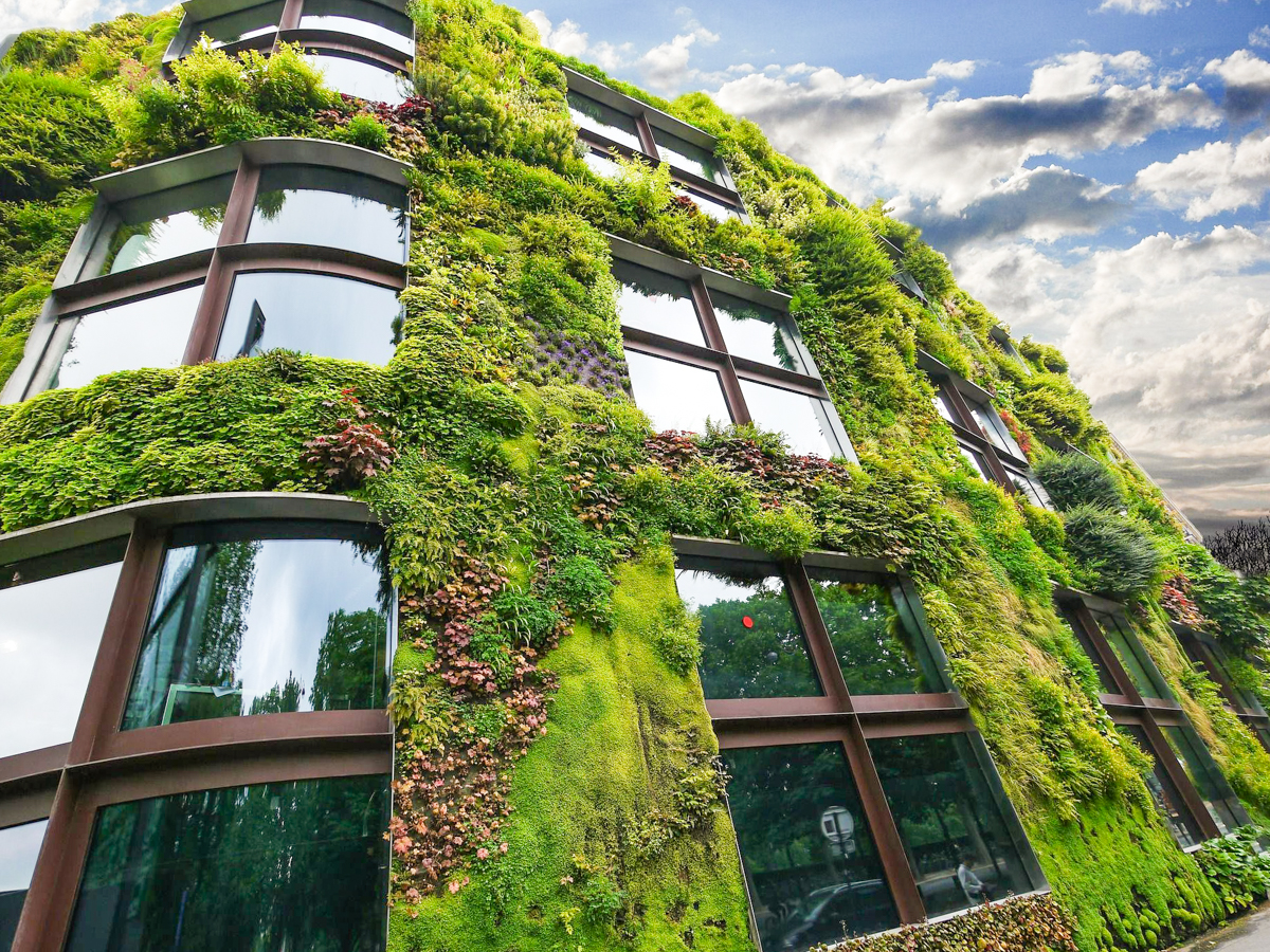Le creusement, par la Ville, d’une fosse à rue pour accueillir des plantes le long de sa façade n’est plus gratuit