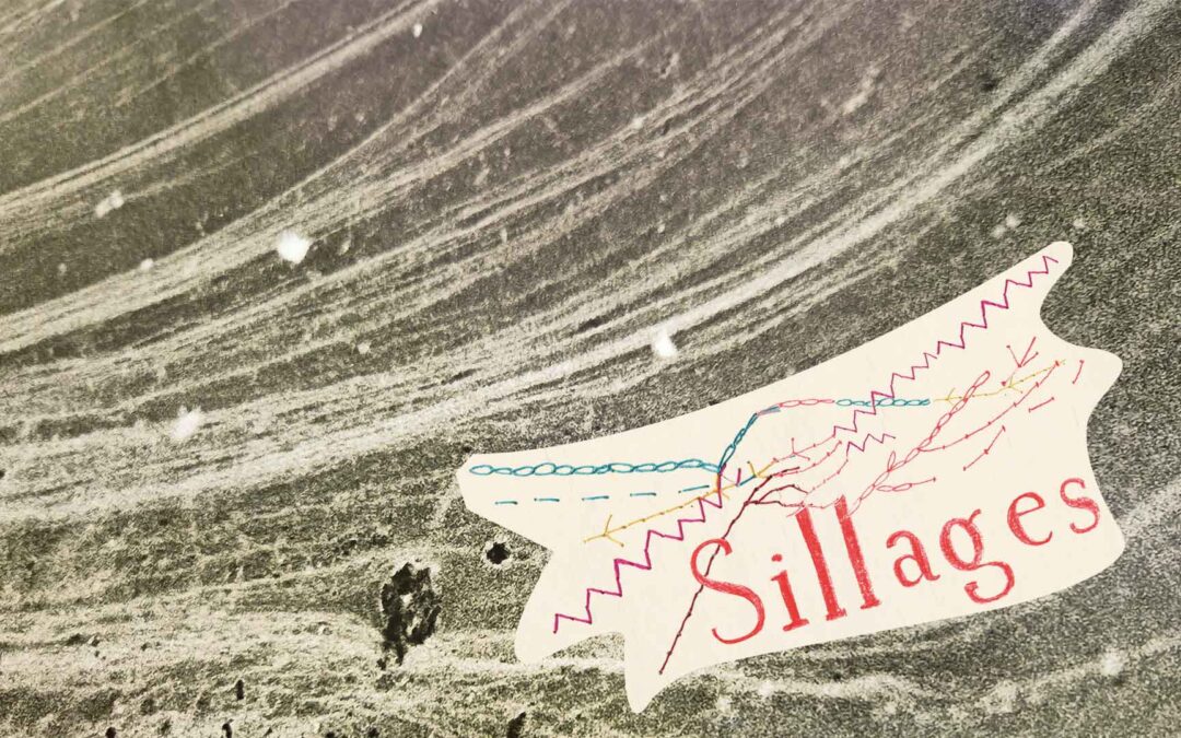 Agenda ► Sillages – Mémoires et transmissions familiales