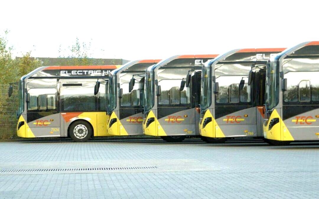 Mouvement de grève spontané : les bus et trams ne roulent pas ce jeudi matin