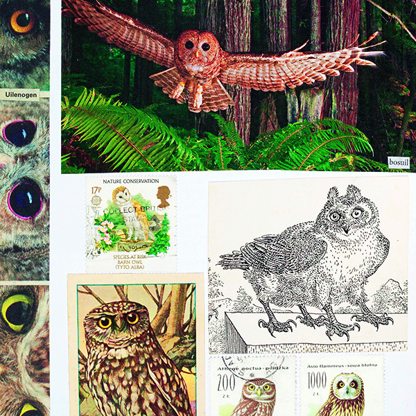Agenda ► La fabrique du livre d’images comme geste de transmission vers l’enfance. Autour d’Animal Books